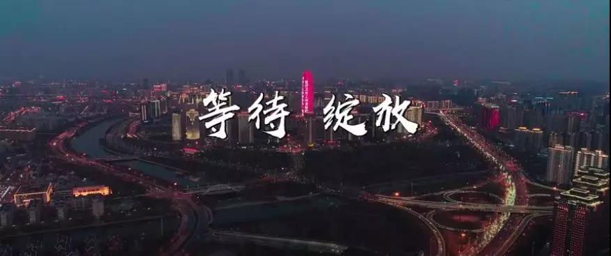 公益廣告宣傳片配樂需要注意哪些要點(diǎn)？